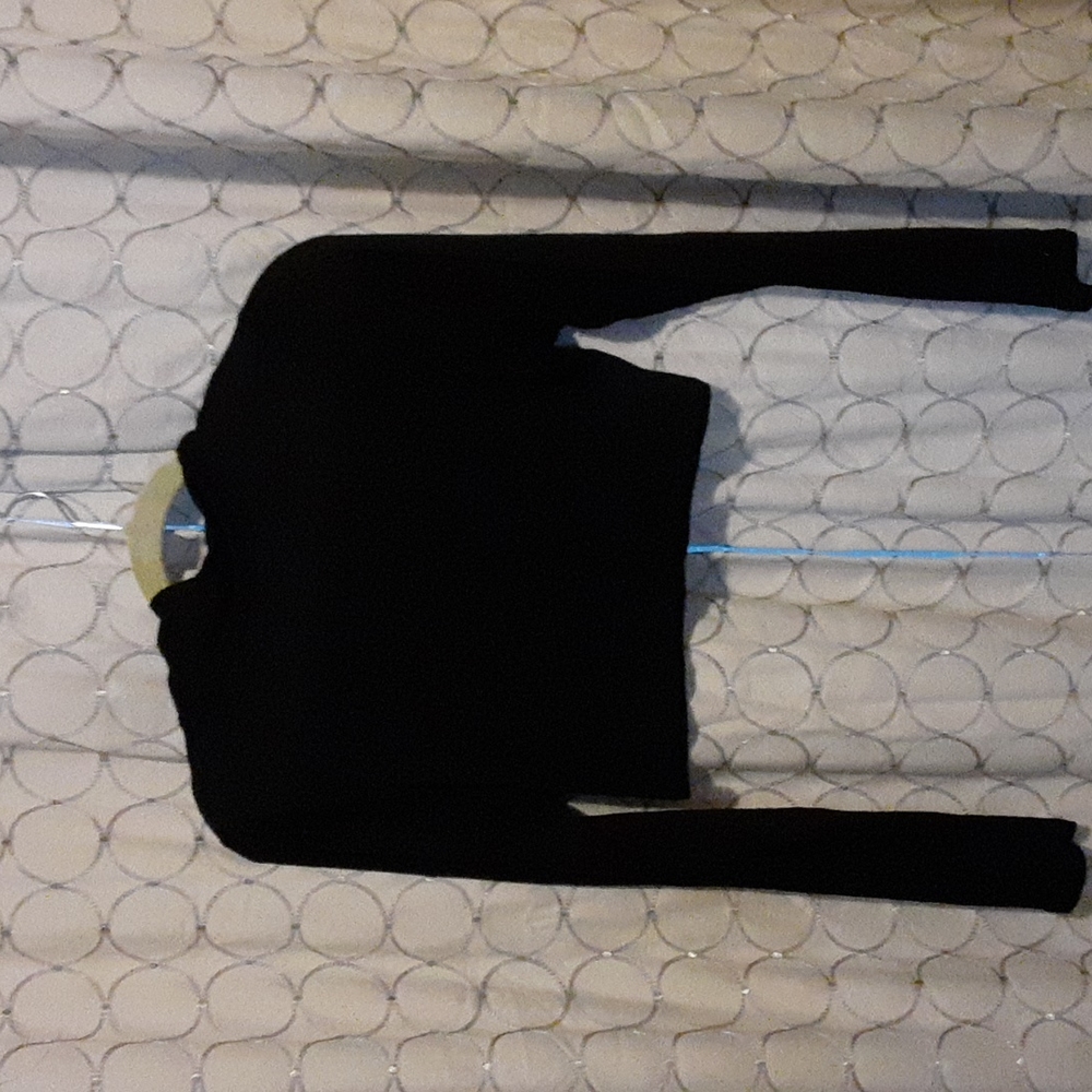 Sheer Black crop top